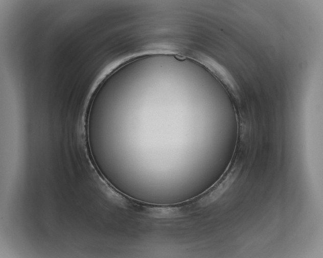 X0000111431192200907201102