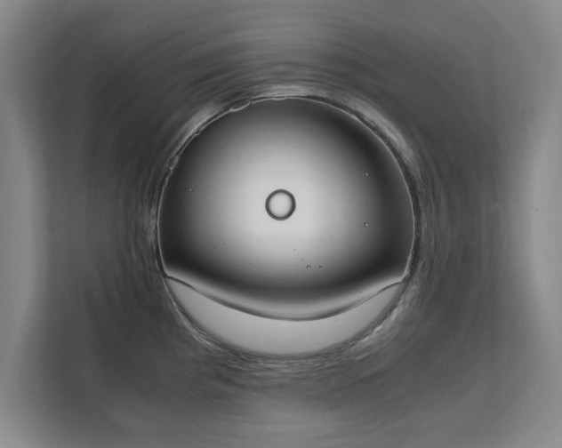 X0000111431193200907201102