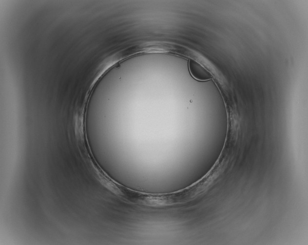 X0000111431194200907201102