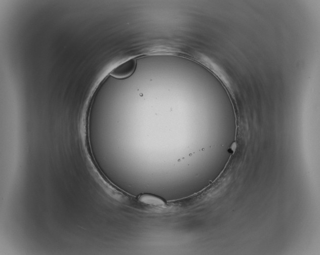 X0000111431195200907201102