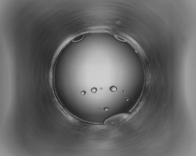 X0000111431196200907201102