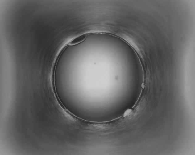 X0000111431197200907201102