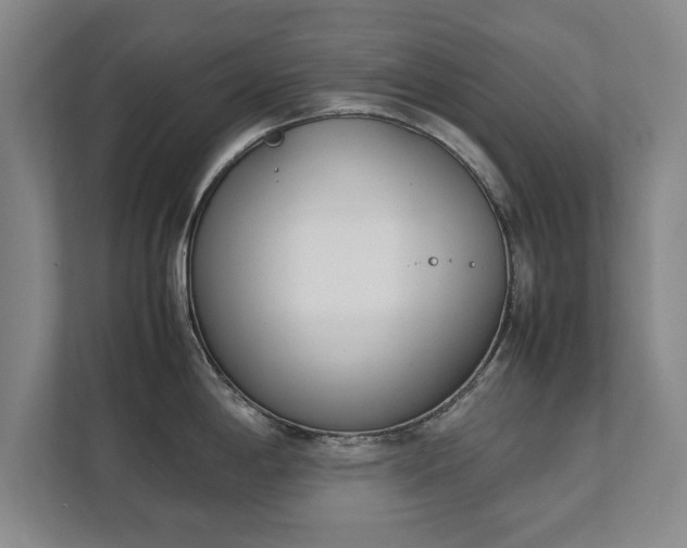 X0000111431198200907201102