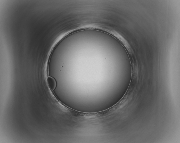 X0000111431199200907201102