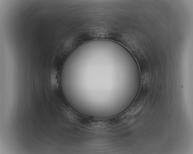 X0000111431202200907201101