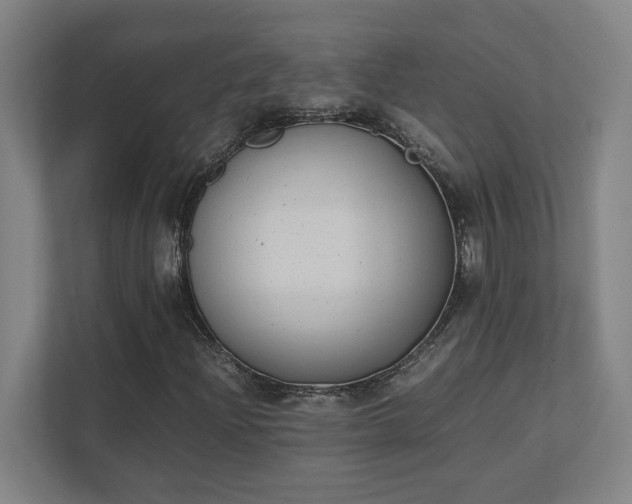 X0000111431204200907201101