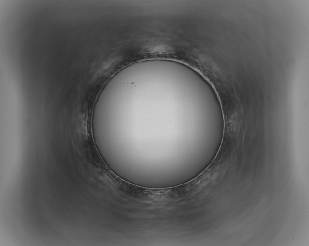 X0000111431205200907201101