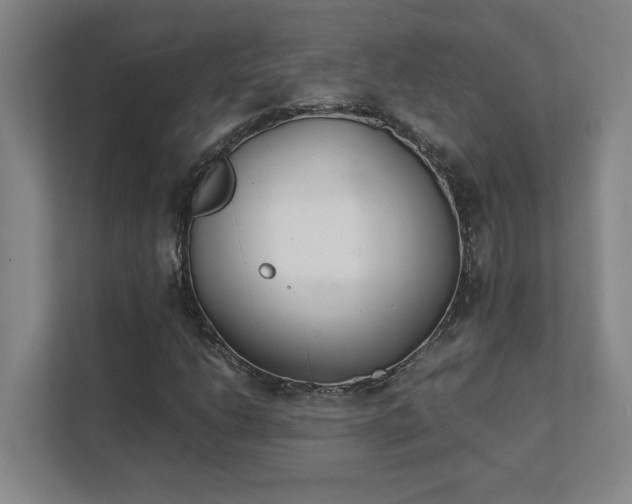 X0000111431206200907201101