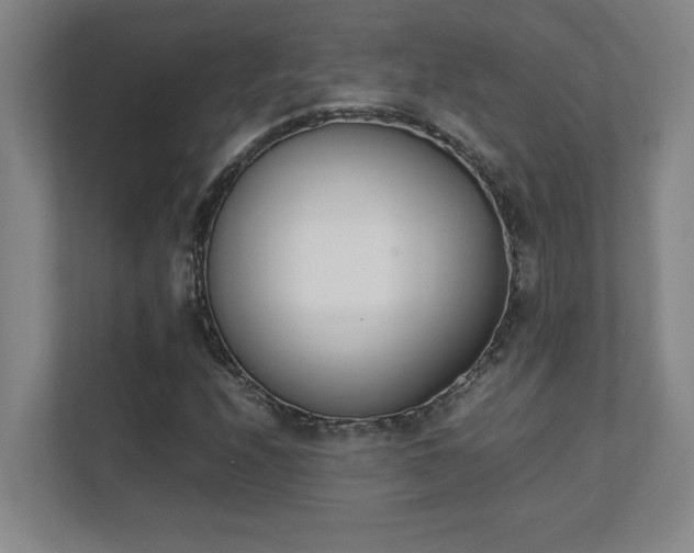 X0000111431208200907201101