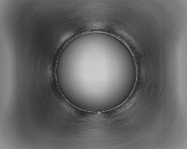 X0000111431210200907201101