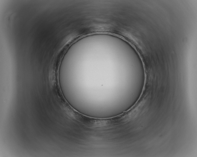 X0000111431211200907201101