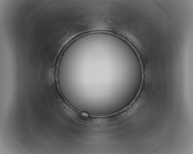 X0000111431212200907201101