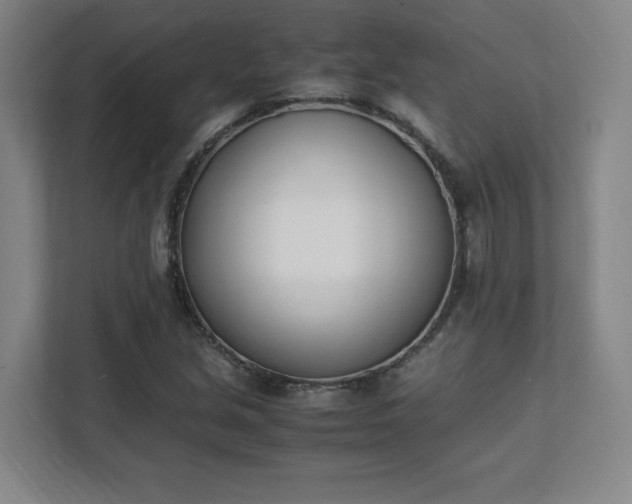 X0000111431213200907201101