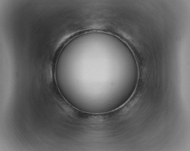 X0000111431214200907201101