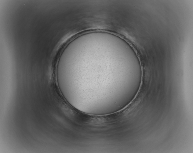 X0000111431215200907201101