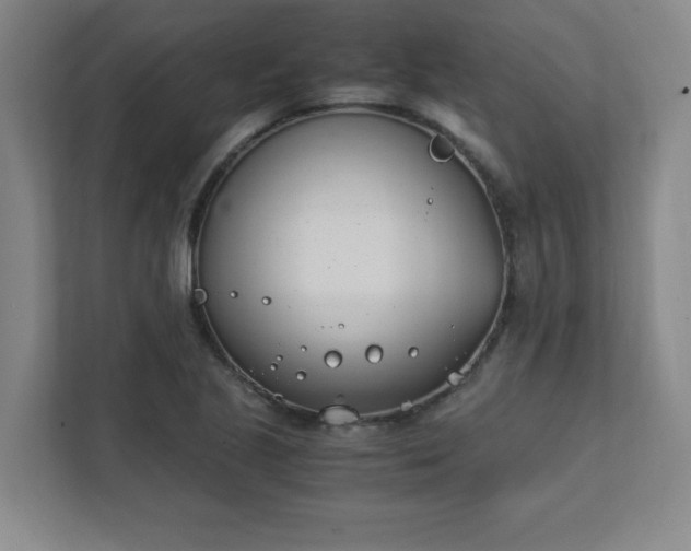 X0000111431221200907201102