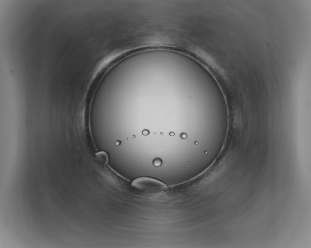 X0000111431222200907201102