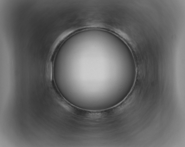 X0000111431223200907201102