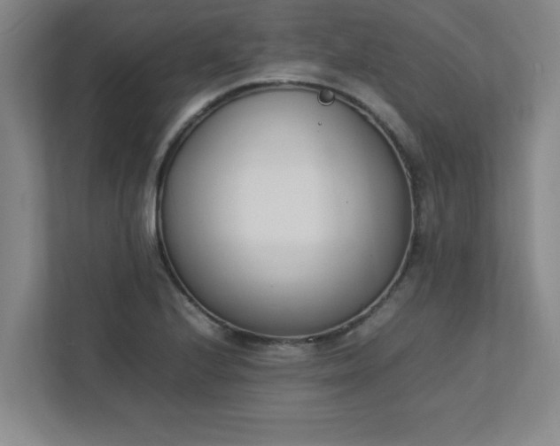 X0000111431224200907201102