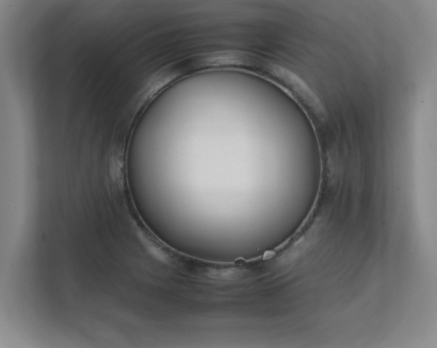 X0000111431225200907201102