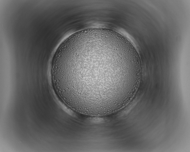 X0000111431235200907201102