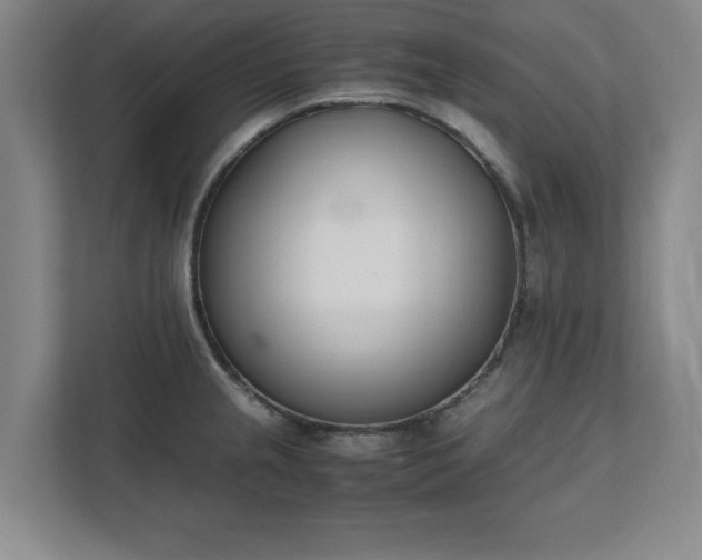 X0000111431237200907201102