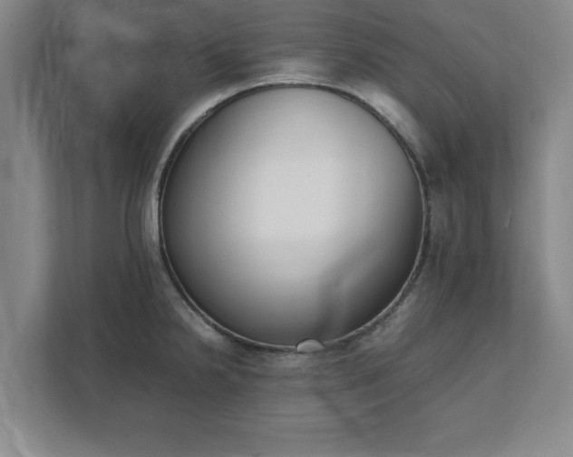 X0000111431238200907201102