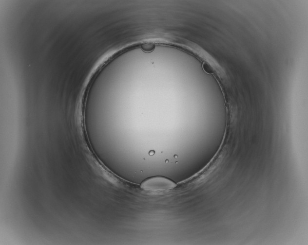 X0000111431240200907201102