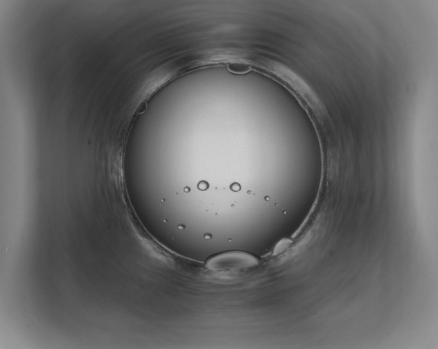 X0000111431241200907201102