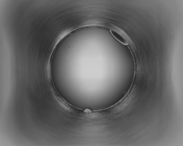 X0000111431242200907201102