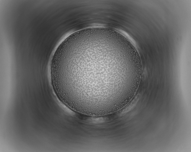 X0000111431243200907201102