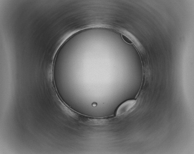 X0000111431244200907201102