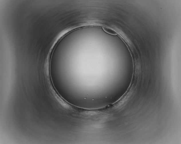 X0000111431246200907201102