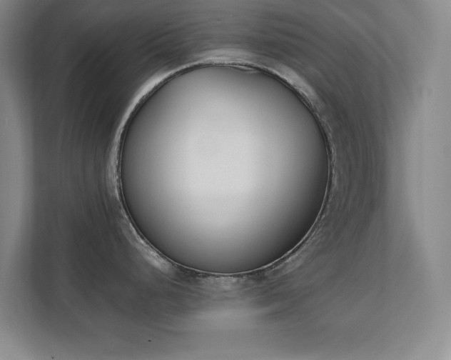 X0000111431248200907201102