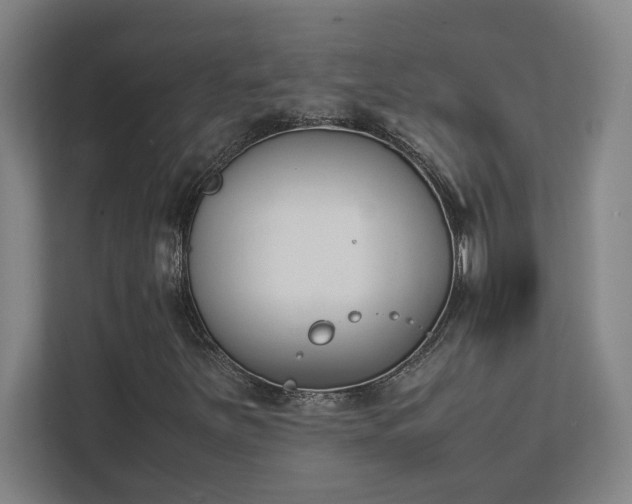 X0000111431251200907201101