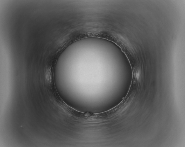 X0000111431252200907201101