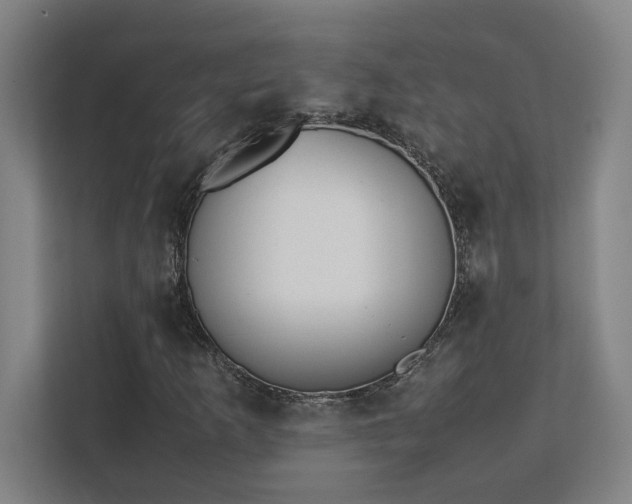 X0000111431253200907201101