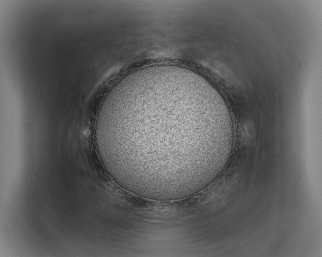 X0000111431254200907201101