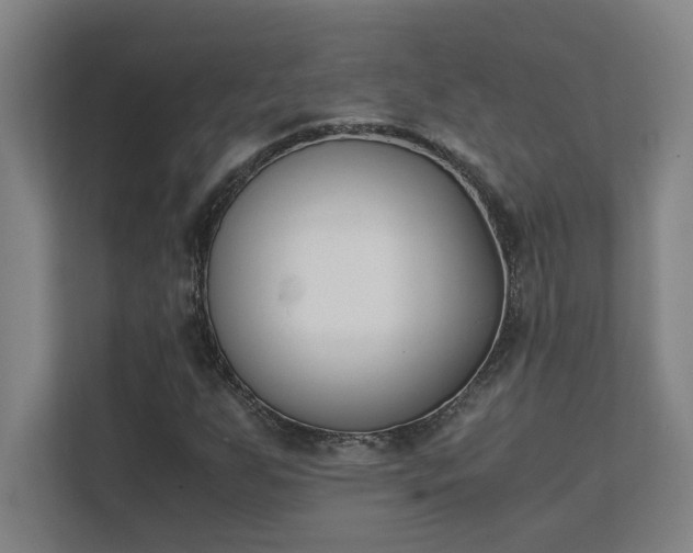 X0000111431255200907201101