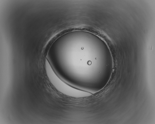 X0000111431256200907201101