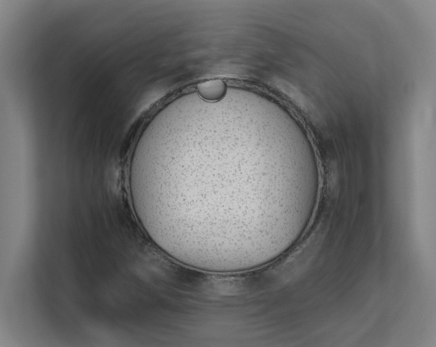 X0000111431258200907201101