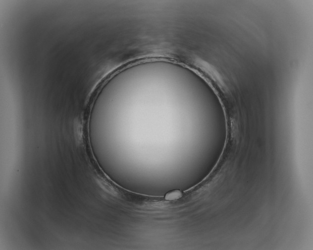 X0000111431260200907201101