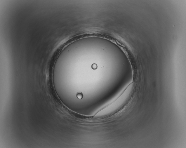 X0000111431261200907201101