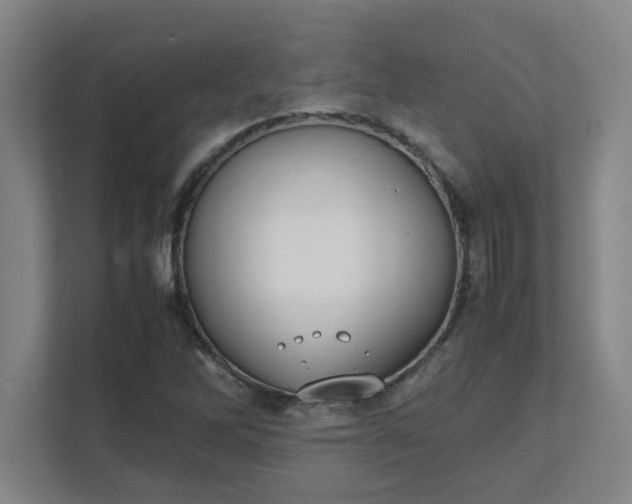 X0000111431262200907201101