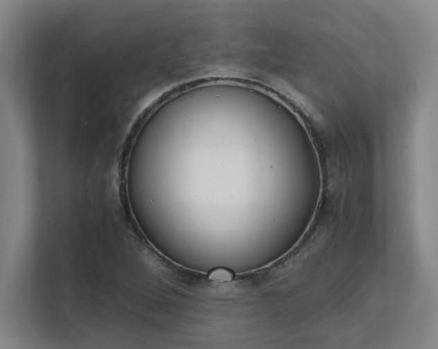 X0000111431264200907201101