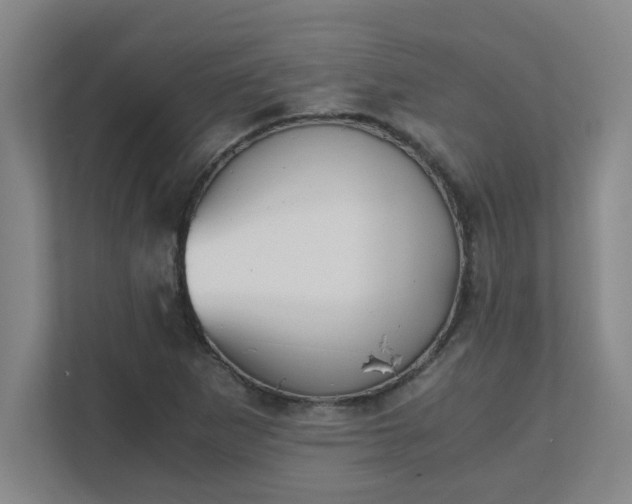 X0000111431265200907201101