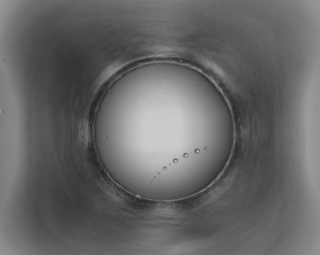 X0000111431267200907201101