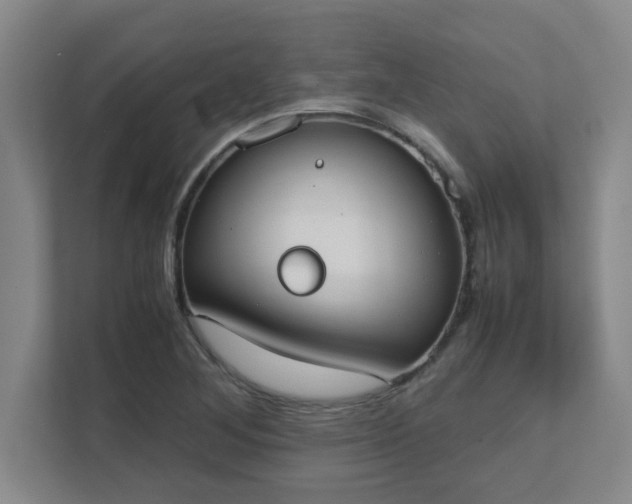 X0000111431268200907201101