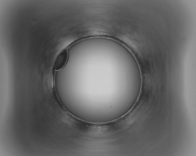 X0000111431269200907201101