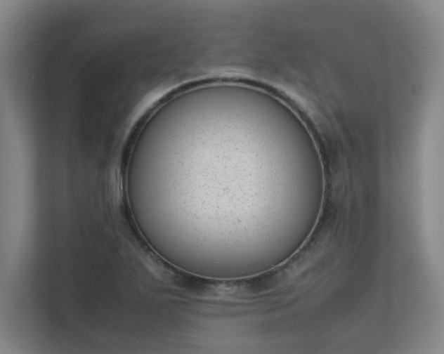 X0000111431271200907201101